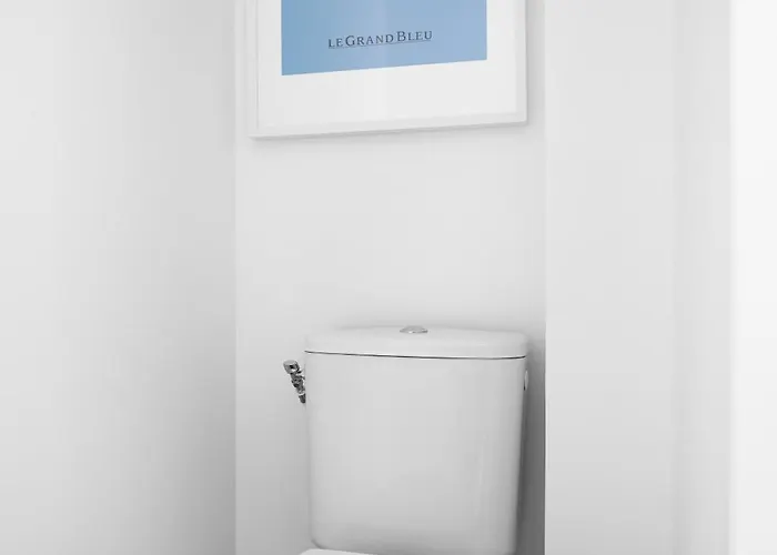 Daire Le Grand Bleu - Wifi Fibre/linge/acces Cour *